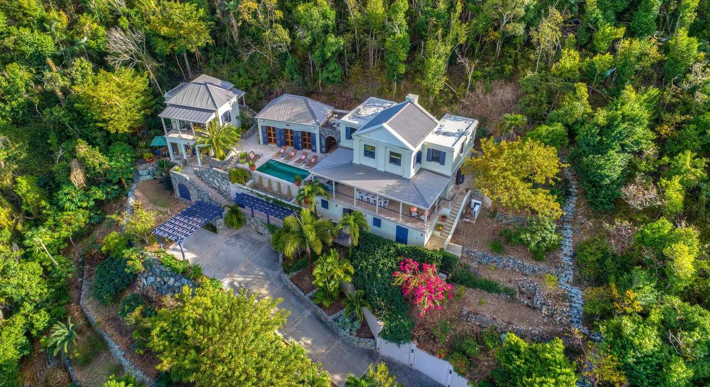 Secluded luxury estate surrounded by lush forest tranquility