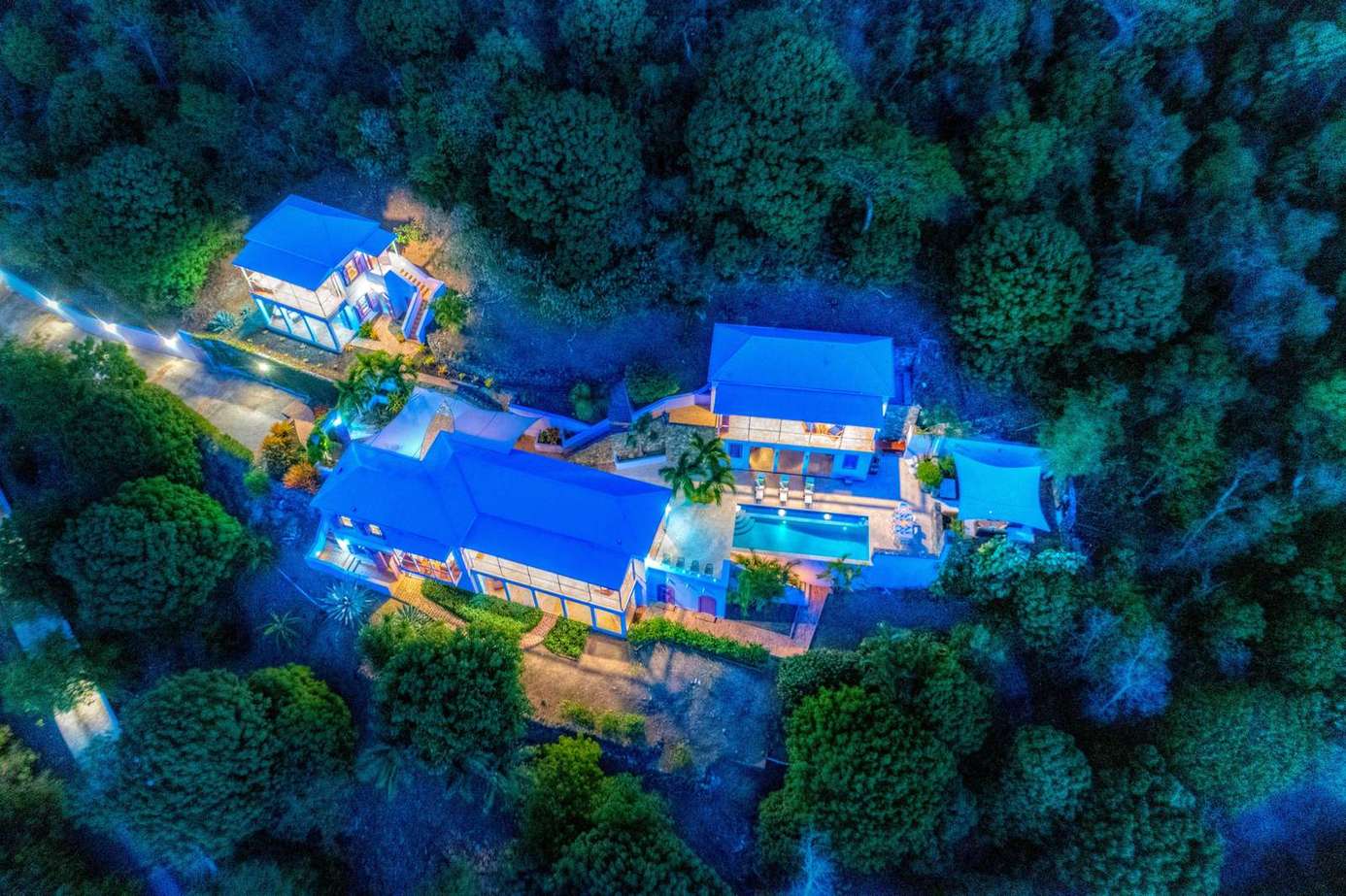 Secluded hillside retreat surrounded by lush forest canopy