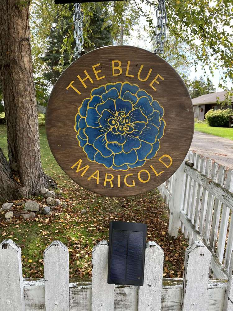 Blue Marigold Preview 0