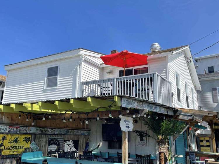 223 | The Plank | Dog Friendly Preview 0